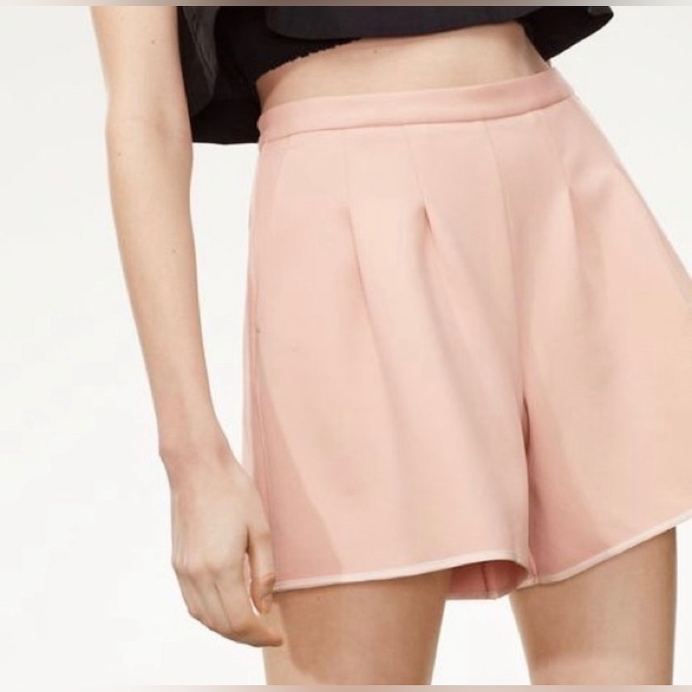 New Le Fou Aritzia pleated shorts